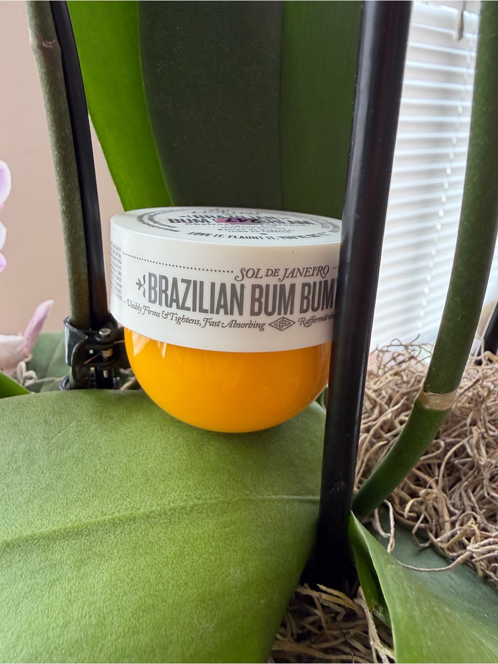 Sol de Janeiro Brazilian Bum Bum Cream in Bright Yellow Jar